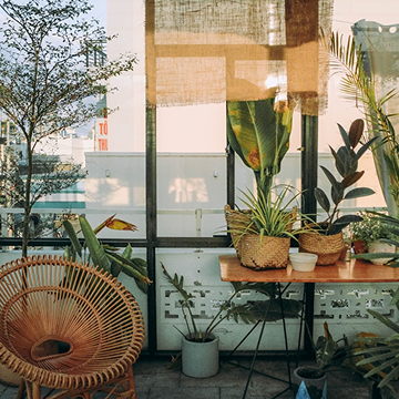 Soft yellow bloom in daylight