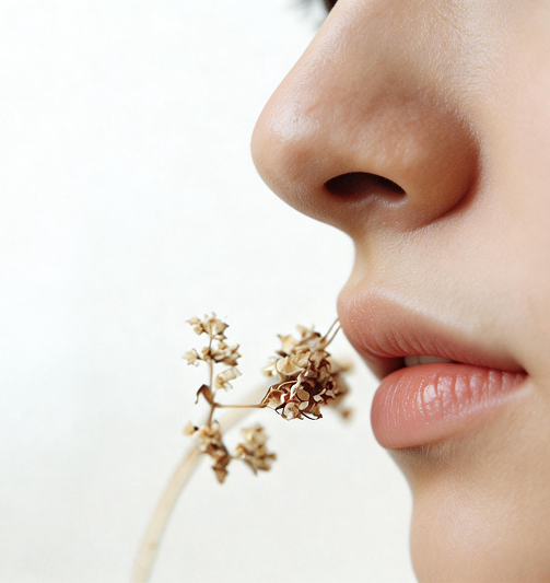 Understand Your Nose